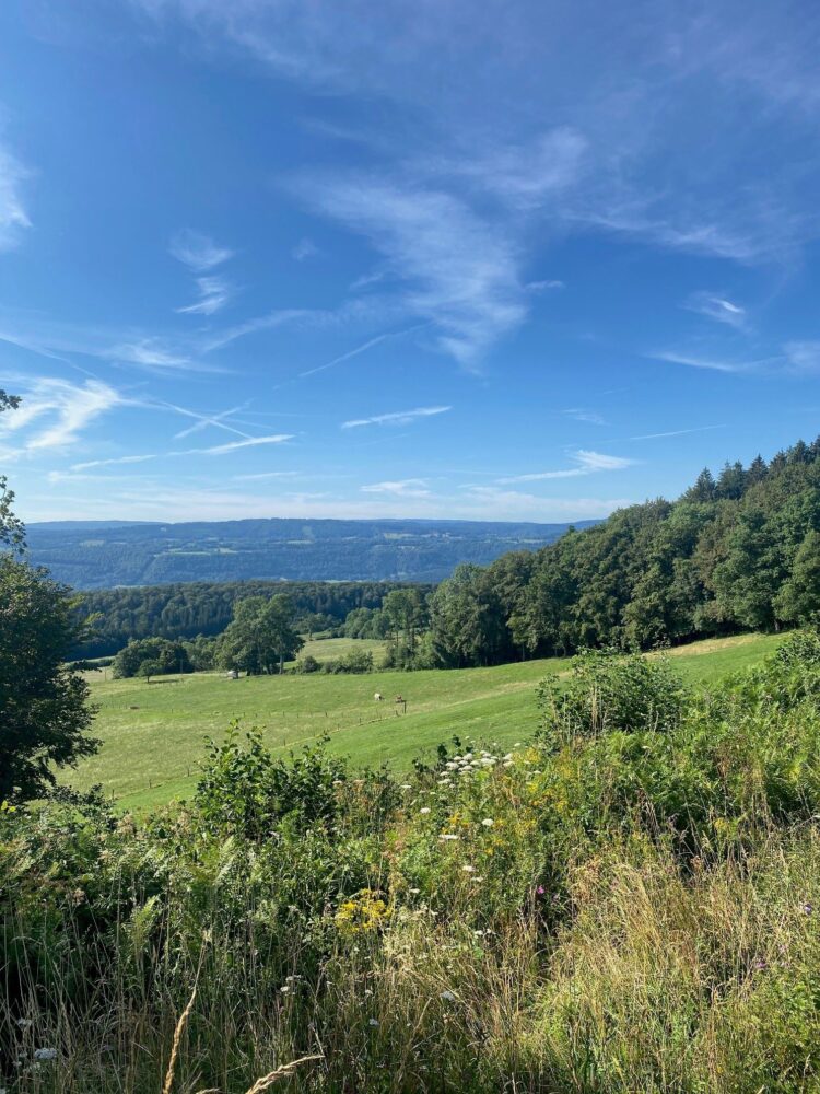 point de vue de montaigu valoreille pays horloger