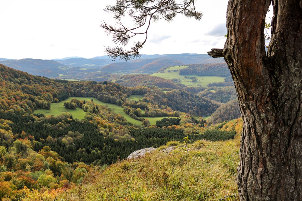 points de vue belvédère pays horloger doubs jura sapins