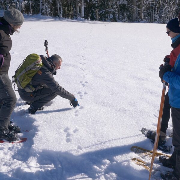 raquettes neige hiver balade pays horloger jura programme d'activités pendant les vacances d'hiver