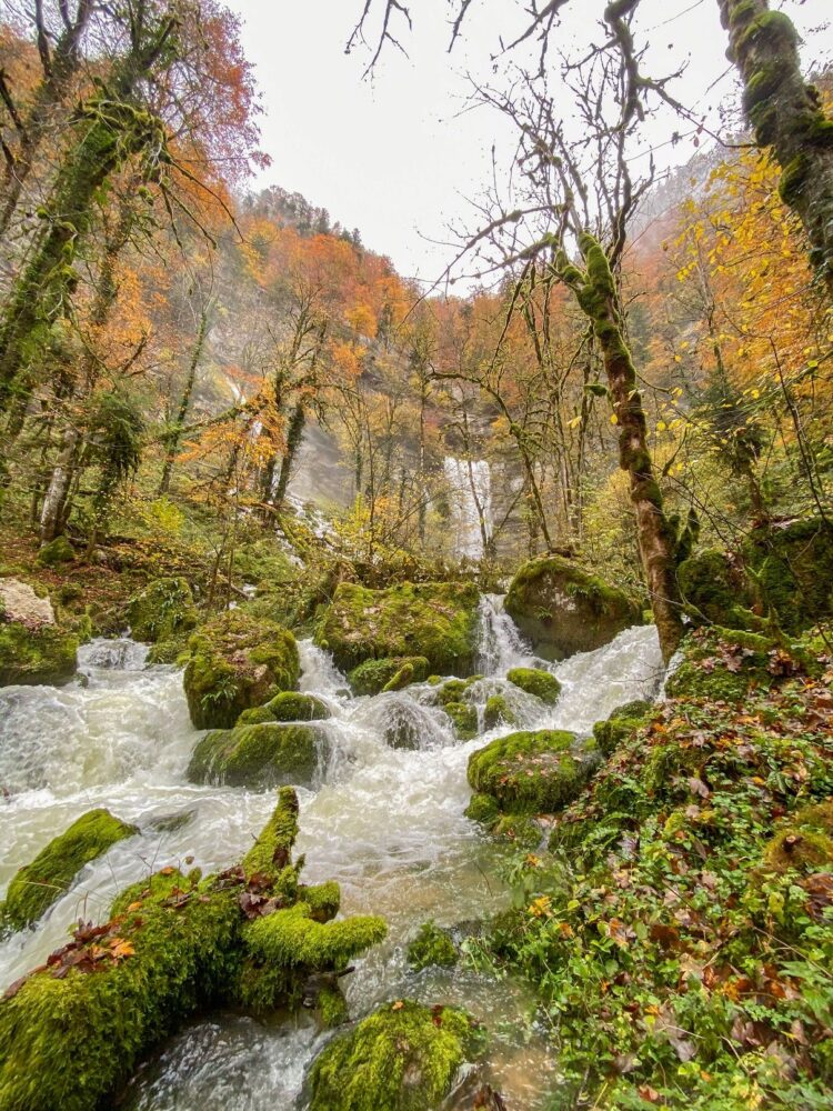 consolation nature eau cascades automne pays horloger