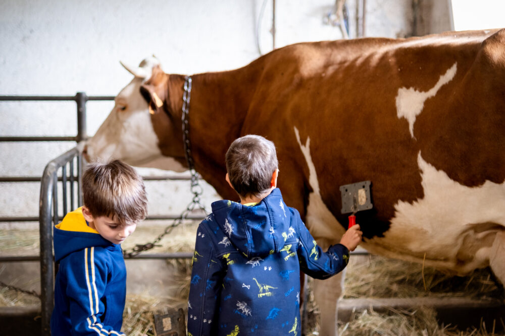 ferme barboux vache enfants étable pays horloger