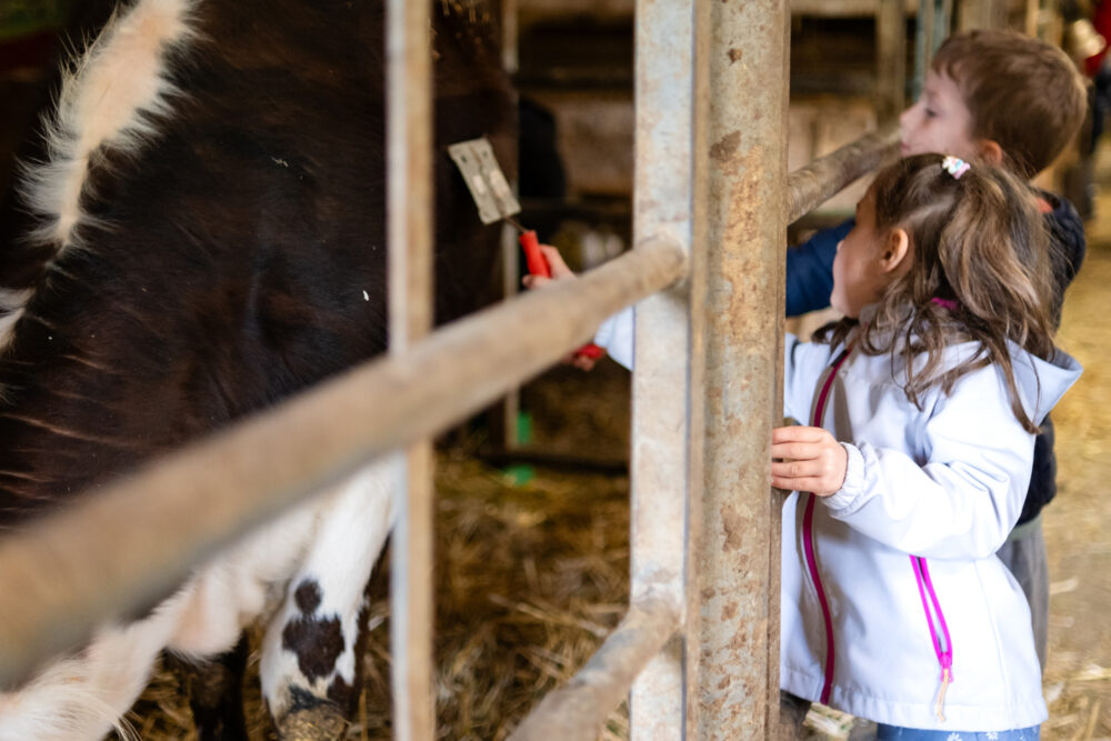 ferme barboux animaux enfants étable pays horloger