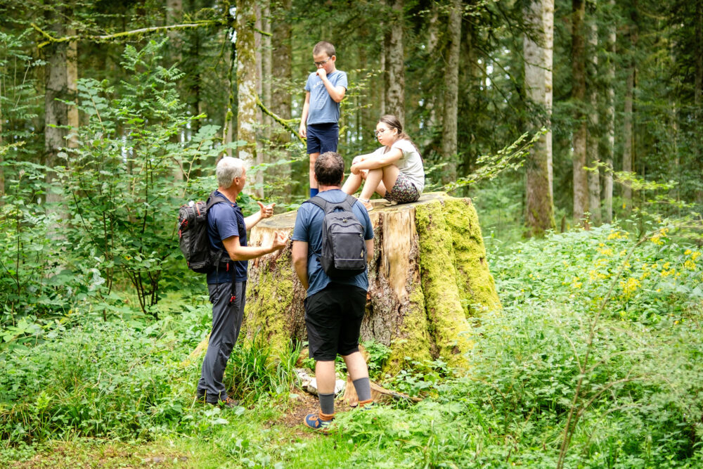 Patrick accompagnateur forêt famille pays horloger sapins