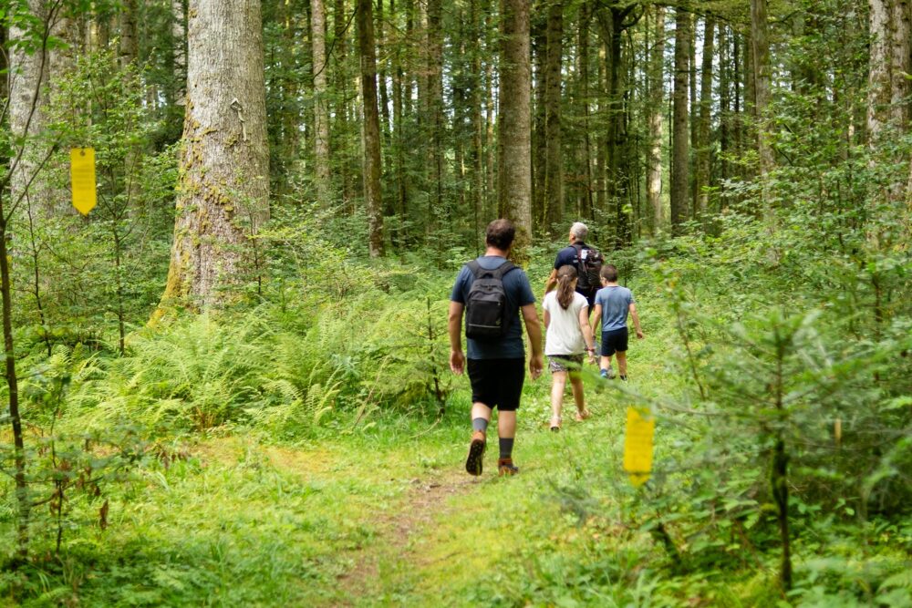 Patrick, forêt accompagnateur famille pays horloger