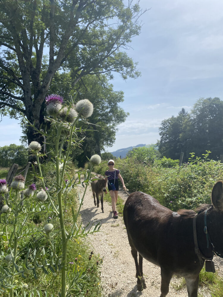 promenade paysage ane famille pays horloger barboux